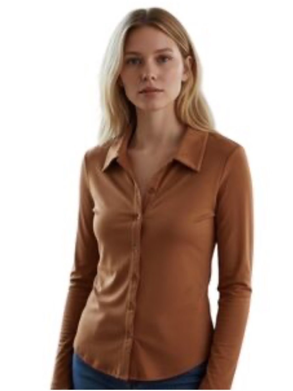 Aritzia Wilfred Pose Long Sleeve Brown Sheer Button Down Top S